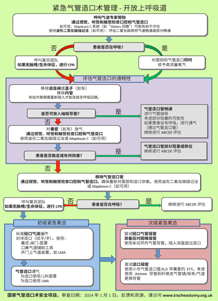 图 3：紧急气管造口术管理流程。经 Brendan McGrath 和国家气管造口术安全项目 (National Tracheostomy Safety Project) 许可使用。