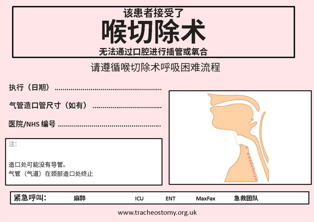 图 5：喉切除术床旁标识。经 Brendan McGrath 和国家气管造口术安全项目 (National Tracheostomy Safety Project) 许可使用。