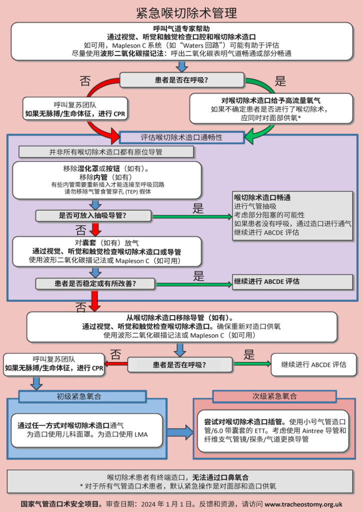 图 6：喉切除术管理流程。经 Brendan McGrath 和国家气管造口术安全项目 (National Tracheostomy Safety Project) 许可使用。