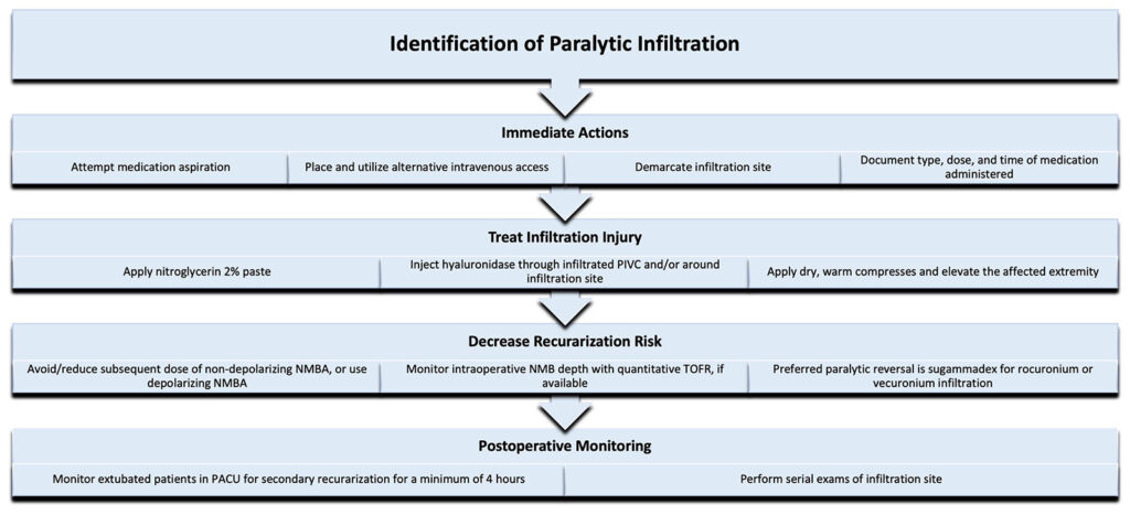 Figure 1: Authors’ proposed algorithm to manage paralytic extravasation.<br />Neuromuscular blocking agent (NMBA); Neuromuscular blockade (NMB); Post-anesthesia care unit (PACU); Train-of-four ratio (TOFR).