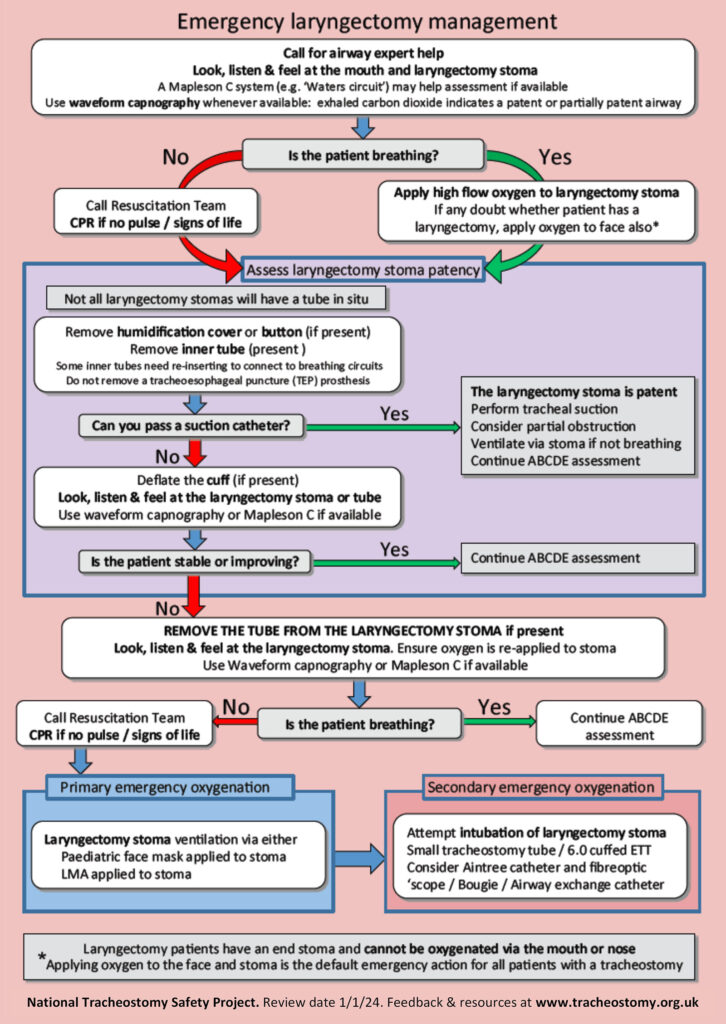 Figure 6: Laryngectomy management algorithm. Used with permission from Brendan McGrath and the National Tracheostomy Safety Project.