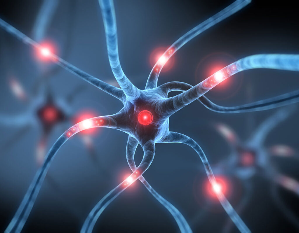 Neuron Cell