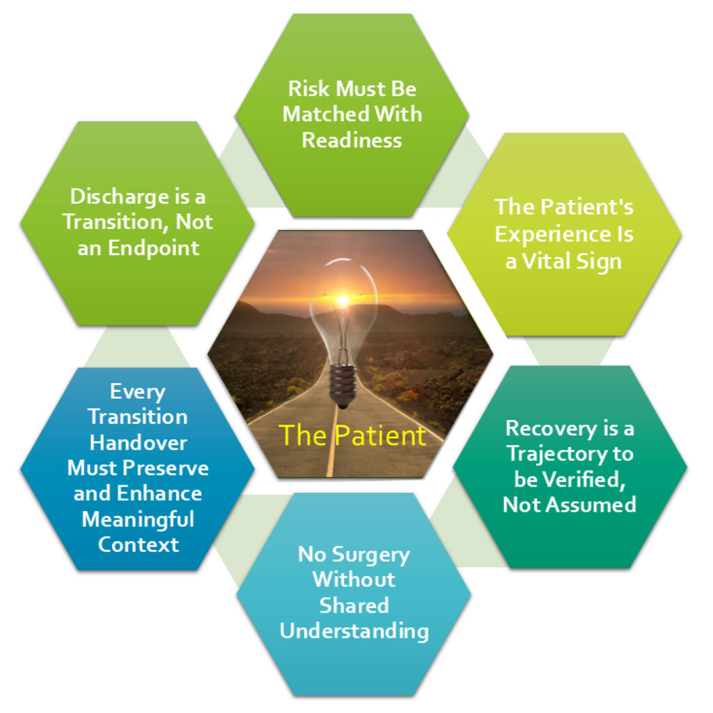 Figure 1. Six Axioms for Perioperative Patient Safety for the 2026 Stoelting Conference.