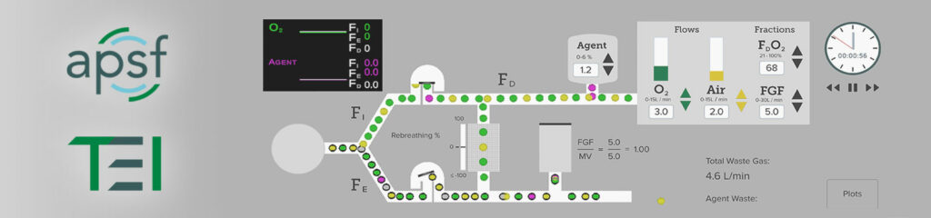 Low-Flow Anesthesia